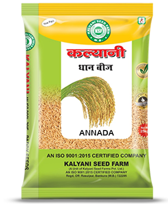 Kalyani Paddy Seeds