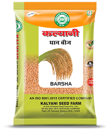 Kalyani Paddy Seeds