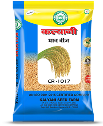 Kalyani Paddy Seeds