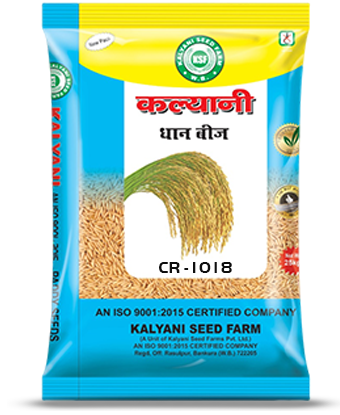 Kalyani Paddy Seeds
