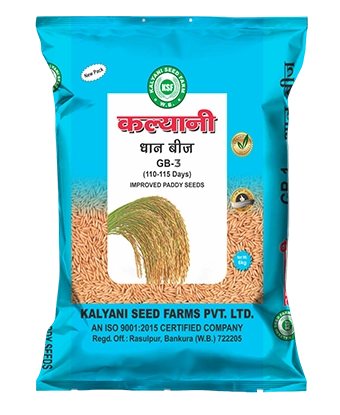 Kalyani Paddy Seeds