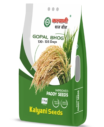 kalyani paddy seeds