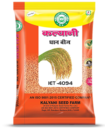 Kalyani Paddy Seeds