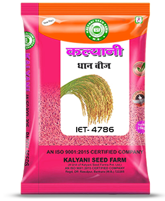 Kalyani Paddy Seeds