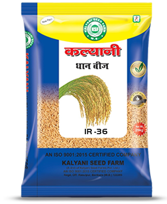 Kalyani Paddy Seeds