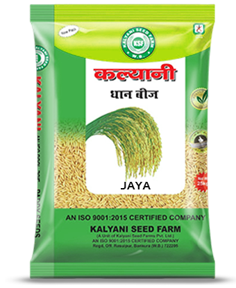 Kalyani Paddy Seeds