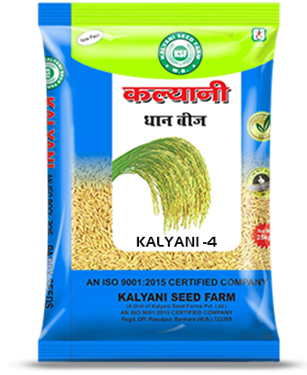 Kalyani Paddy Seeds