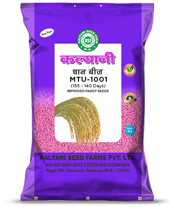 Kalyani Paddy Seeds