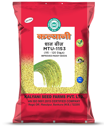 Kalyani Paddy Seeds
