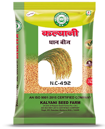 Kalyani Paddy Seeds