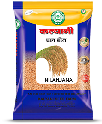 Kalyani Paddy Seeds