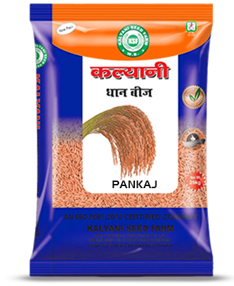 Kalyani Paddy Seeds