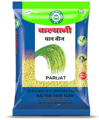 Kalyani Paddy Seeds