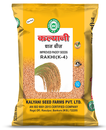 kalyani paddy seeds