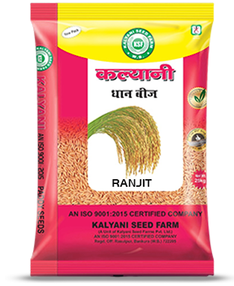 Kalyani Paddy Seeds