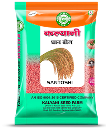 Kalyani Paddy Seeds
