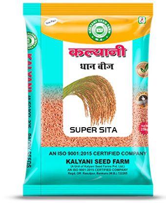 Kalyani Paddy Seeds