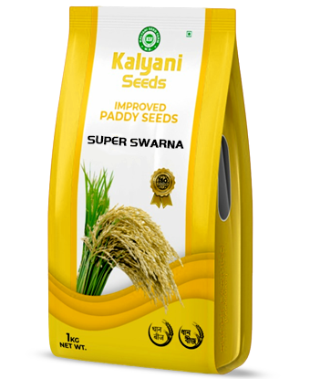 kalyani paddy seeds