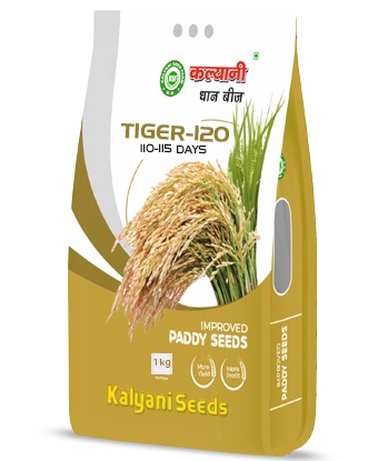 kalyani paddy seeds