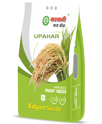 kalyani paddy seeds