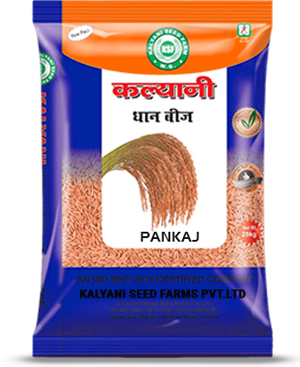 Kalyani Paddy Seeds