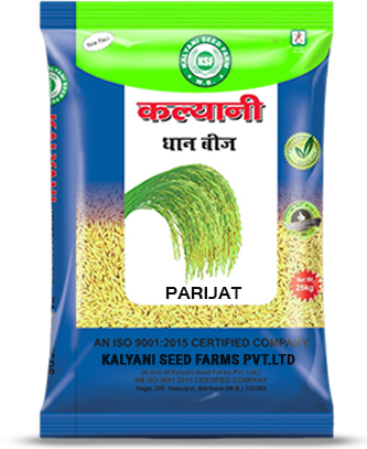 Kalyani Paddy Seeds
