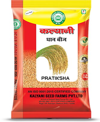 Kalyani Paddy Seeds