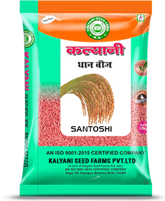 Kalyani Paddy Seeds