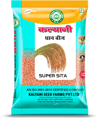 Kalyani Paddy Seeds