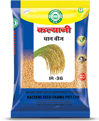 Kalyani Paddy Seeds
