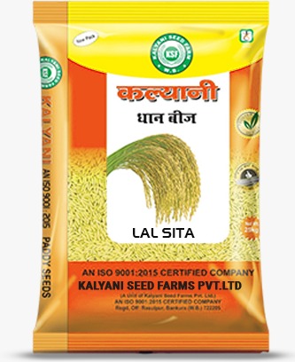 Kalyani Paddy Seeds